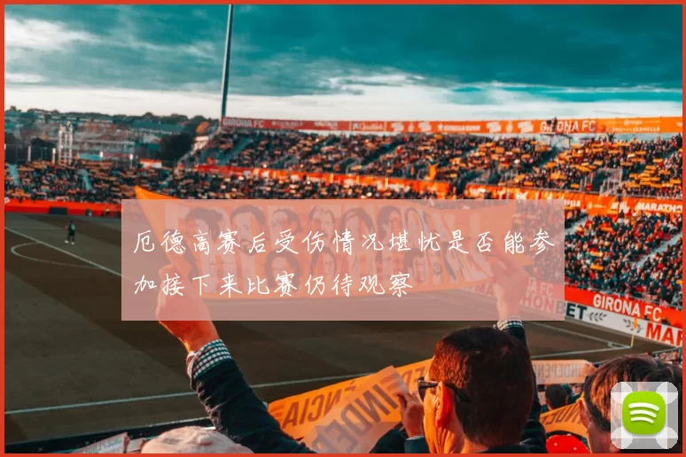 厄德高赛后受伤情况堪忧是否能参加接下来比赛仍待观察