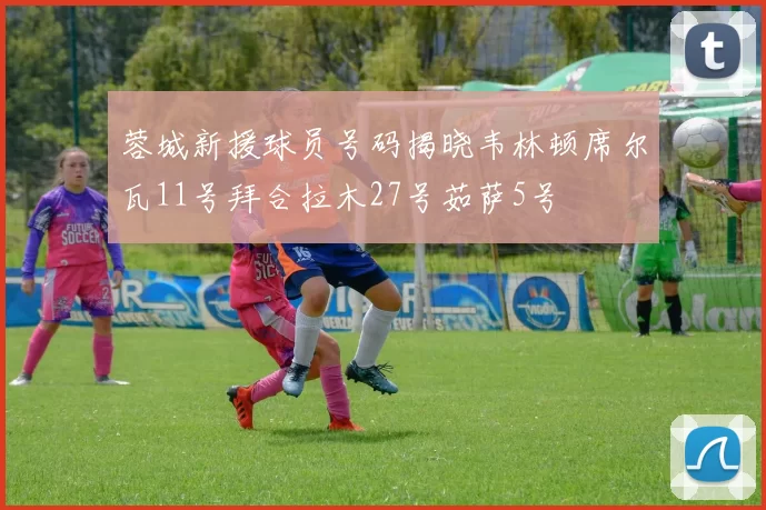 蓉城新援球员号码揭晓韦林顿席尔瓦11号拜合拉木27号茹萨5号